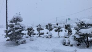 【北摂エリア　屋根修理】最強最長寒波到来！！